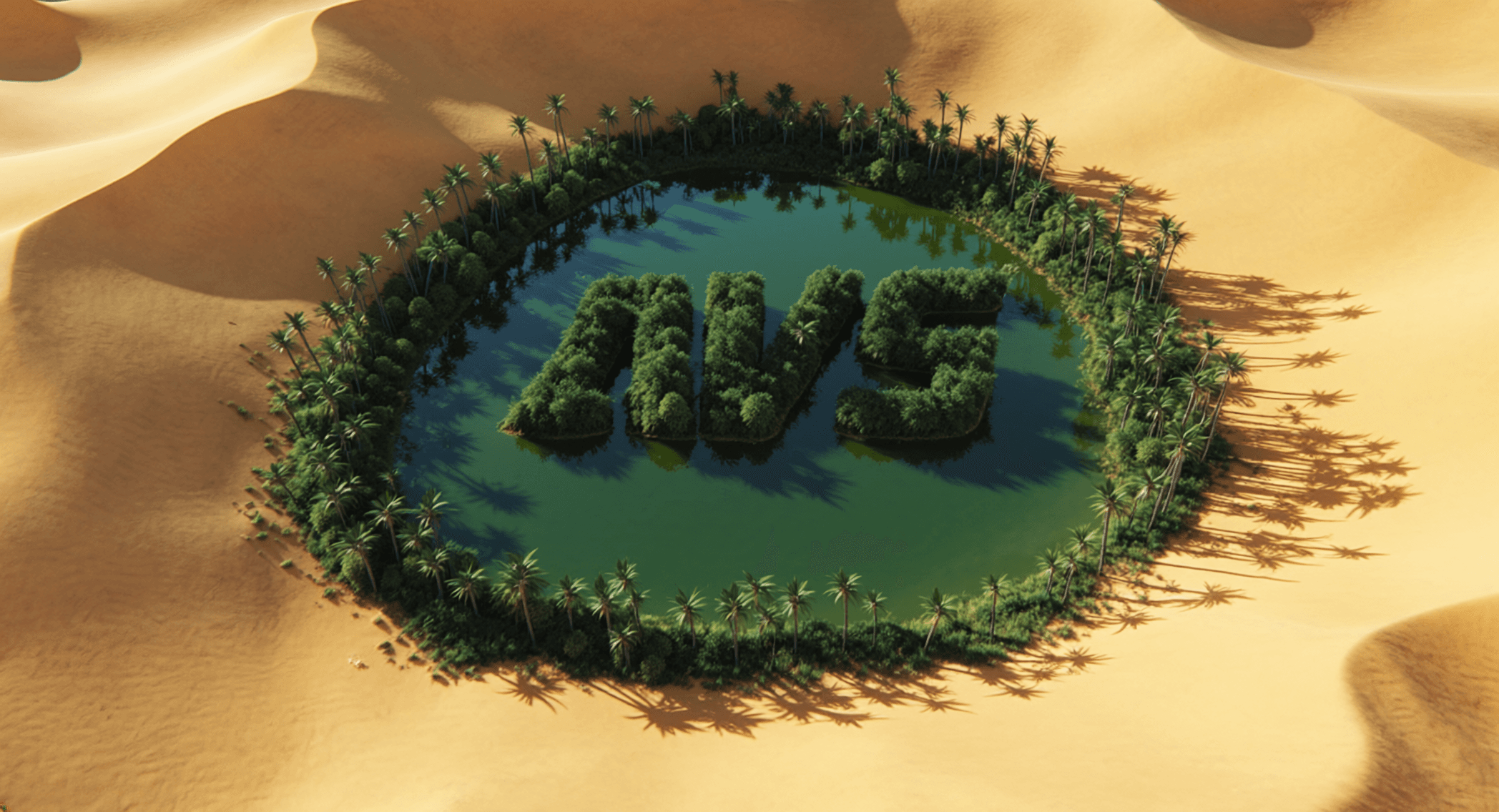 AVS Oasis